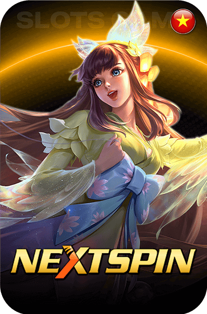 Next Spin Logo